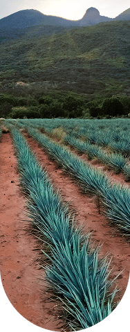 img home solucion 01a